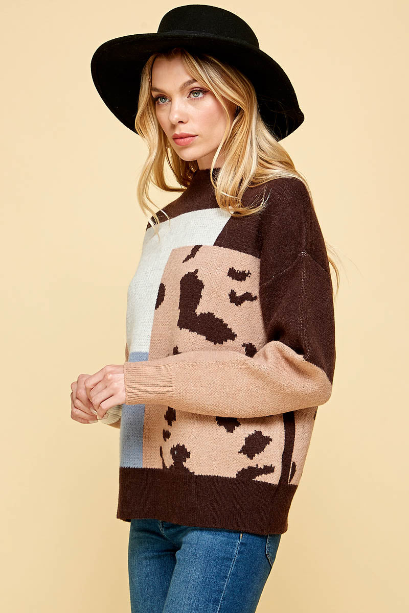 Cheetah and Color Block Sweater