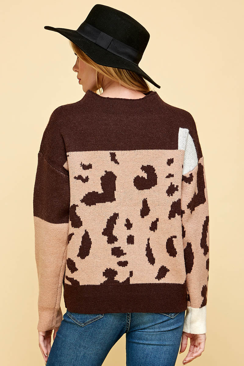 Cheetah and Color Block Sweater